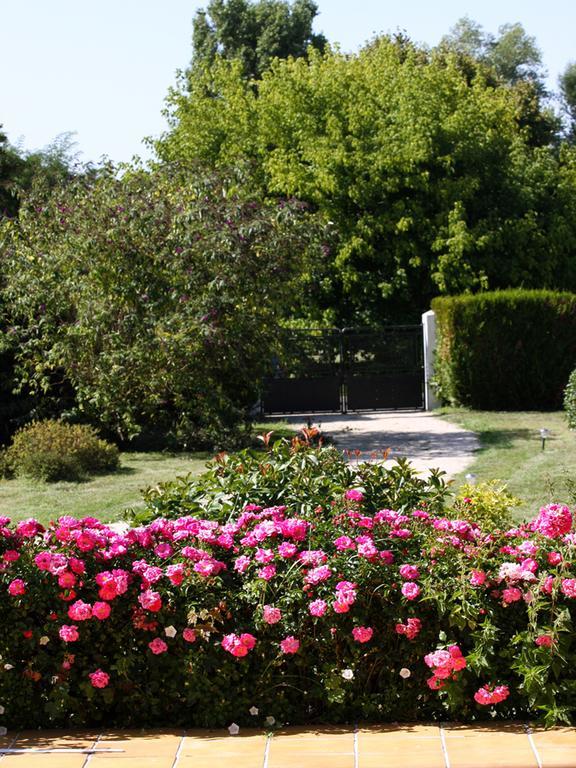 Gîte Au fil de l'eau Muides-sur-Loire Extérieur photo